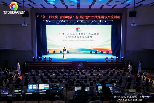 文化潤澤青春 交流匯聚力量——王勇副書記帶隊參加“京彩文化 青春綻放”行動計劃成果展示交流活動側(cè)記